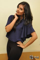 Bhanu Sri Mehra at Ala Ela Platinum Disc Function